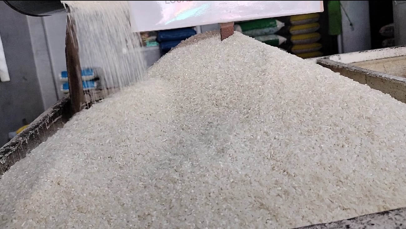 NFA CONFIRMS 12-DAY RICE BUFFER STOCK; WAREHOUSES SAFE FROM TYPHOON ...