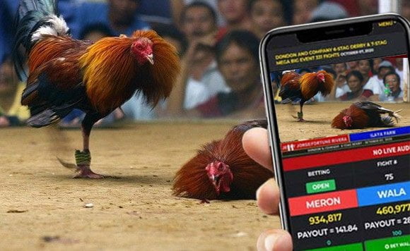 Sabog Image PAGCOR Chief: E-Sabong Operations Persist Despite Ban | EUROTV PHILIPPINES